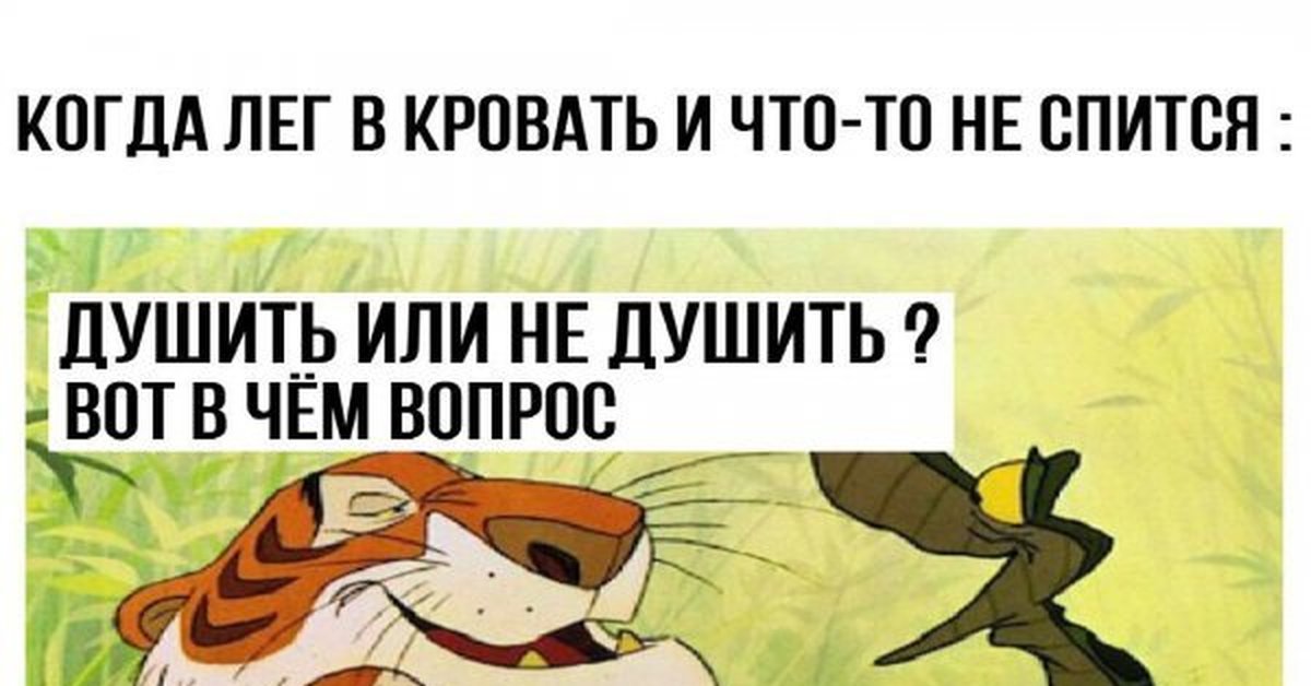 Я дебил а не шерхан Я дебил а не шерхан
